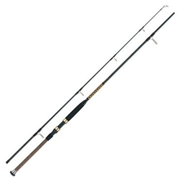 WFT Int.Ocean Fighter 200-600g, 30lbs, 2,70m -