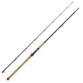 WFT Penzill BC King 2,60m bis 240g -