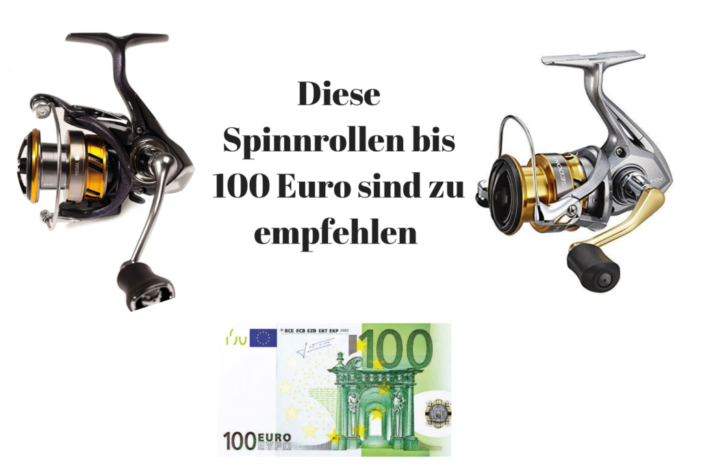 Spinnrolle bis 100 Euro